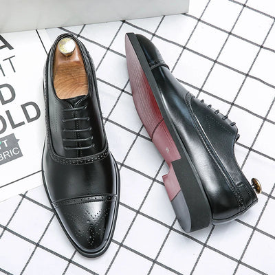 Nate | Royal Brogue